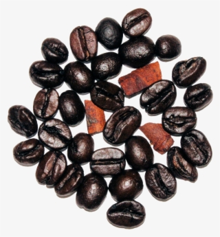 The Cultured Cup® - Cocoa Bean