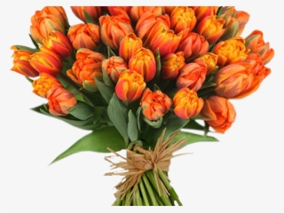 Tulip Clipart Flower Bokeh - Happy Teachers Day 2018