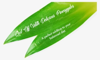 Lavida Slogan On Pineapple Leaves - Writing