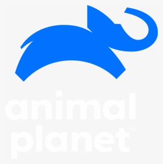 Bindi & The Otters - New Animal Planet Logo