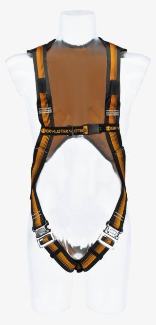 View Image - Safety Harness