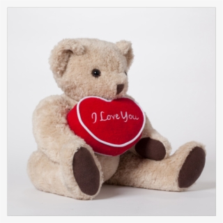 Personalized Teddy Bear With Message Pillow By Bears4humanity - Vijay Name In Teddy Bear