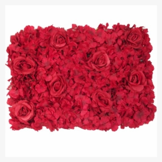 Red Rose Hydrangea - Garden Roses