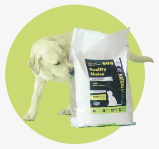 Dog Food - Labrador Retriever