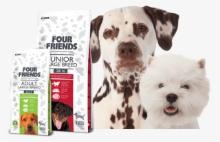 Premium Quality Dog Food - Dog Food Banner