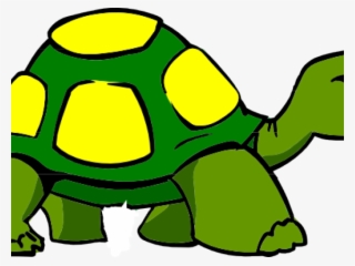 Turtle Cartoon Side View