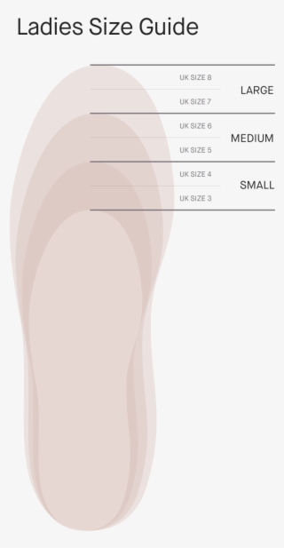 Size Guide - Illustration