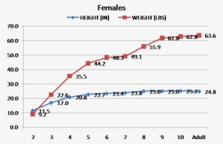 Image Result For Doberman Pinscher Puppy Weight Chart - Doberman Pinscher Doberman Growth Chart