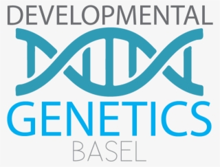 Developmental Genetics Basel Developmental Genetics - Graphic Design