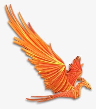 Orange Phoenix Flying Mobile - Illustration