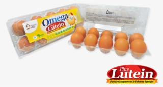 P Eg1 - Omega Plus Lutein Egg
