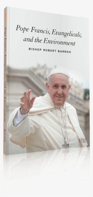 In This Free Ebook, Bishop Barron Reflects On Why So - Pope Francis Visit To Ireland