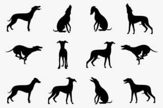 Whippet Silhouettes Vector - Italian Greyhound Silhouette