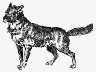 Jackal Clipart Public Domain - Wolf