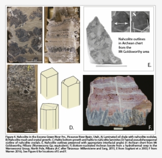 The Case For Nahcolite As A Primary Evaporite (figure - Floor