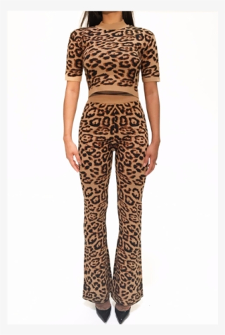 Cheetah Print Flare Pants Set - Photo Shoot