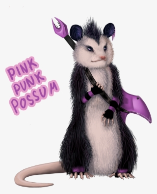 Possum Png - Possum Punk
