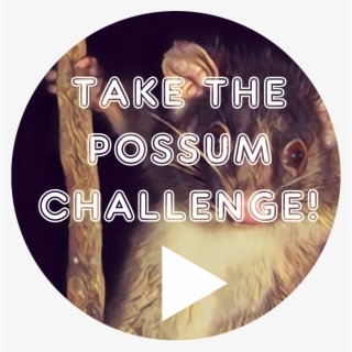 Take The Possum Challenge - Label