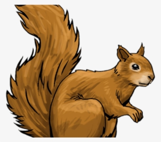 24 Squirrel Clipart Soulmates Free Clip Art Stock Illustrations - Squirrel Art