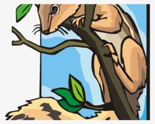 Squirrel Clipart Three - Squirrel In A Tree Clipart