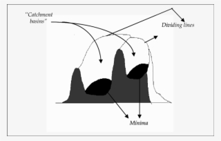 Minima, Catchment Basins, And Dividing Lines - Diagram
