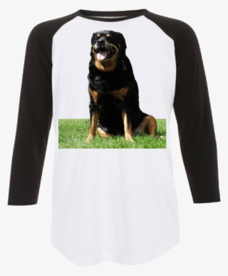 sitting rottweiler baseball shirt - greater swiss mountain dog