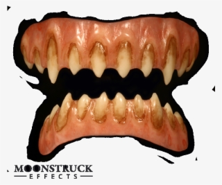 Custom Stained, Vampire Pale Gums, Sharpened Teeth - Bone