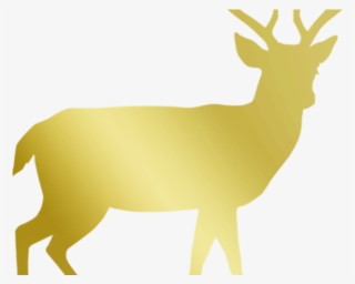Reindeer Antlers Clipart - Doe Silhouette Target