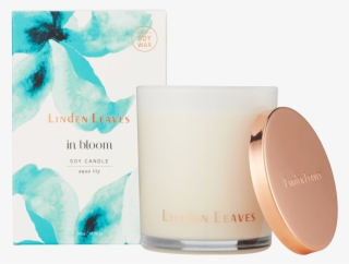 In20bloom Soy20candle Aqua20lily 300g Box20and20candle20jar - Candle