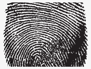 Fingerprint Clipart Lake - Transparent Background Fingerprint Png