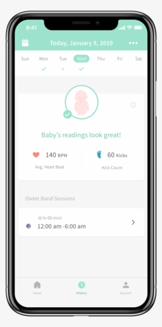 Your Unborn Baby's Wellbeing At A Glance - Mobile App Main Screen