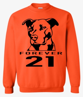 Forever 21 Pitbull Sweater - Pitbull Stickers