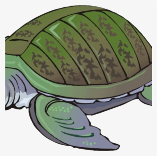 Clipart Turtle Free Turtle Clipart Clip Art For Students - Tortoise