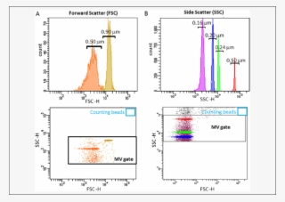 Flow Cytometry Resolution Of Sizing Beads And Mv Gate - Sizing Beads Flow Cytometry