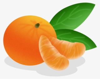 Cartoon Hand Drawn Fruit Food Png And Psd - Tangerine