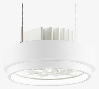 Quad - Ceiling