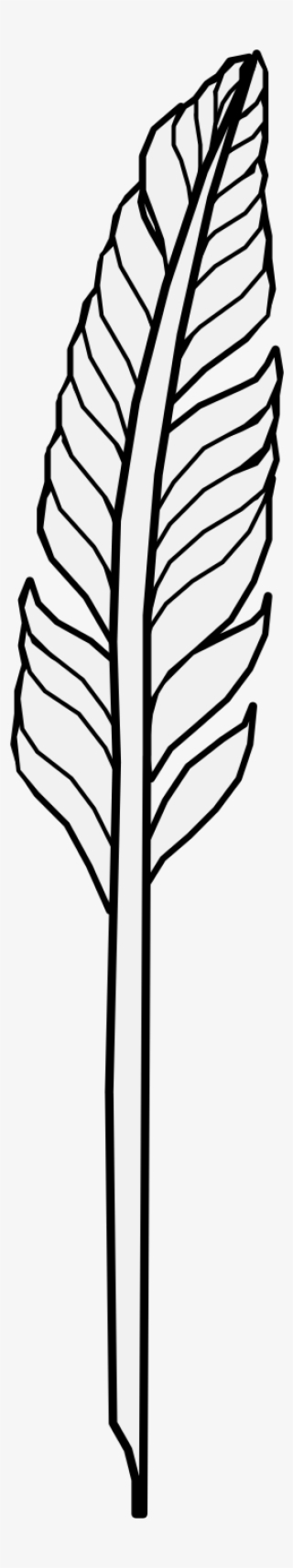 Details, Png