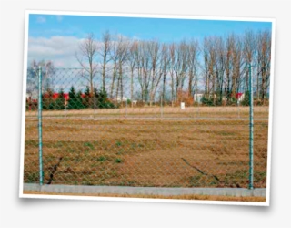 Mesh Or Fencing Panels - Grove