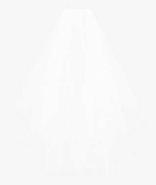 Please Read And Understand The Terms Of Use - Wedding Veils Transparent Background