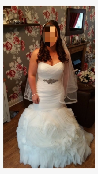 New Off White Veil - Wedding Dress