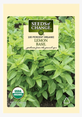 Organic Lemon Basil Seeds - Organic