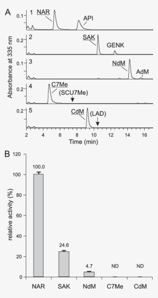 Activities Of Basil Flavone Synthase With Higher Substituted - Diagram