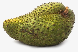 Guanabana Fruit