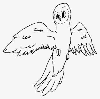 Cute Owl Base - Sketch