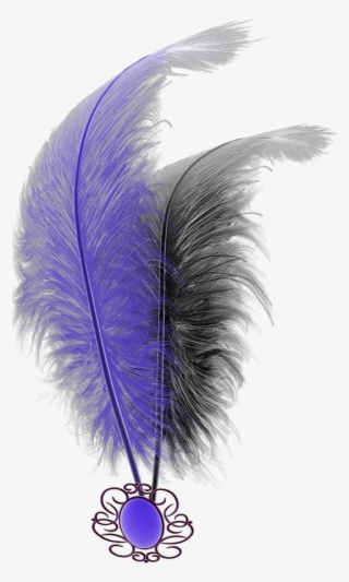 Mq Purple Black Feathers Feather - Feather
