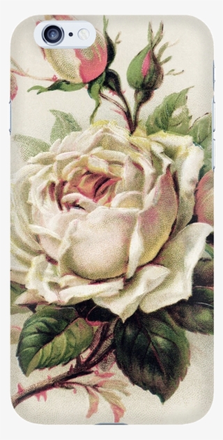 Vintage Rose Phone Case - Vintage White Rose Png