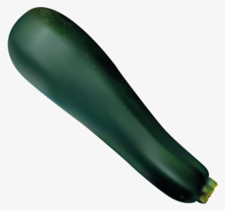 Zucchini - Bottle