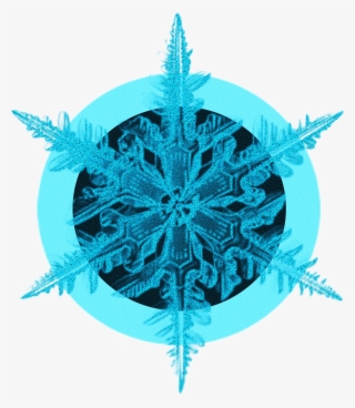 Blue Black Crystal Ice Flower Decorative Png And Psd - Vector Graphics