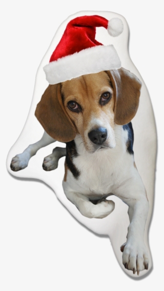 Beagle Dog Christmas Pillow - Harrier
