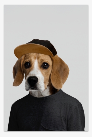Beagle Christmas Cards - Beagle Poster